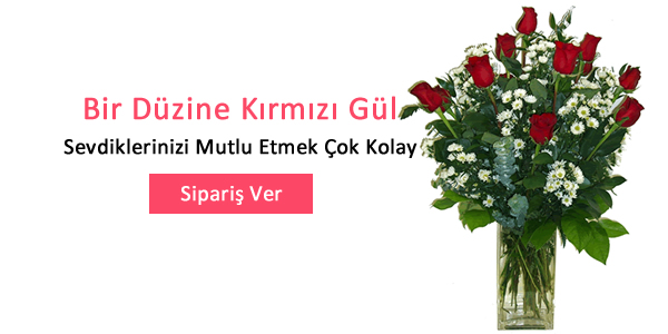 Bir Düzine Kırmızı Gül