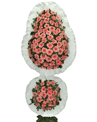 İki Göbekli Pembe Açılış Davet Çiçeği