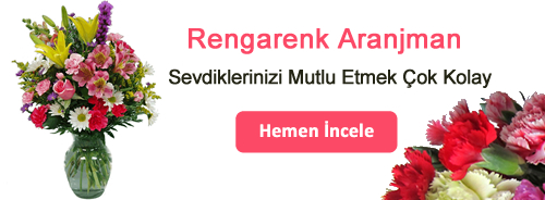 Rengarenk Aranjman